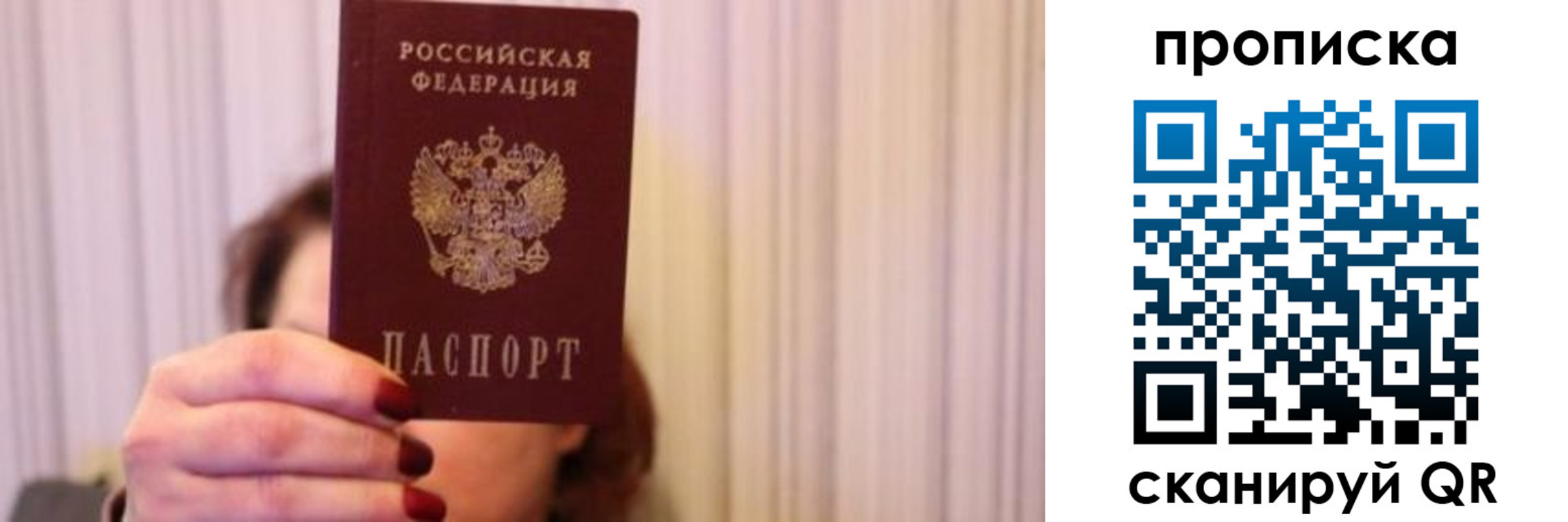 прописка поиск в Владимирской области