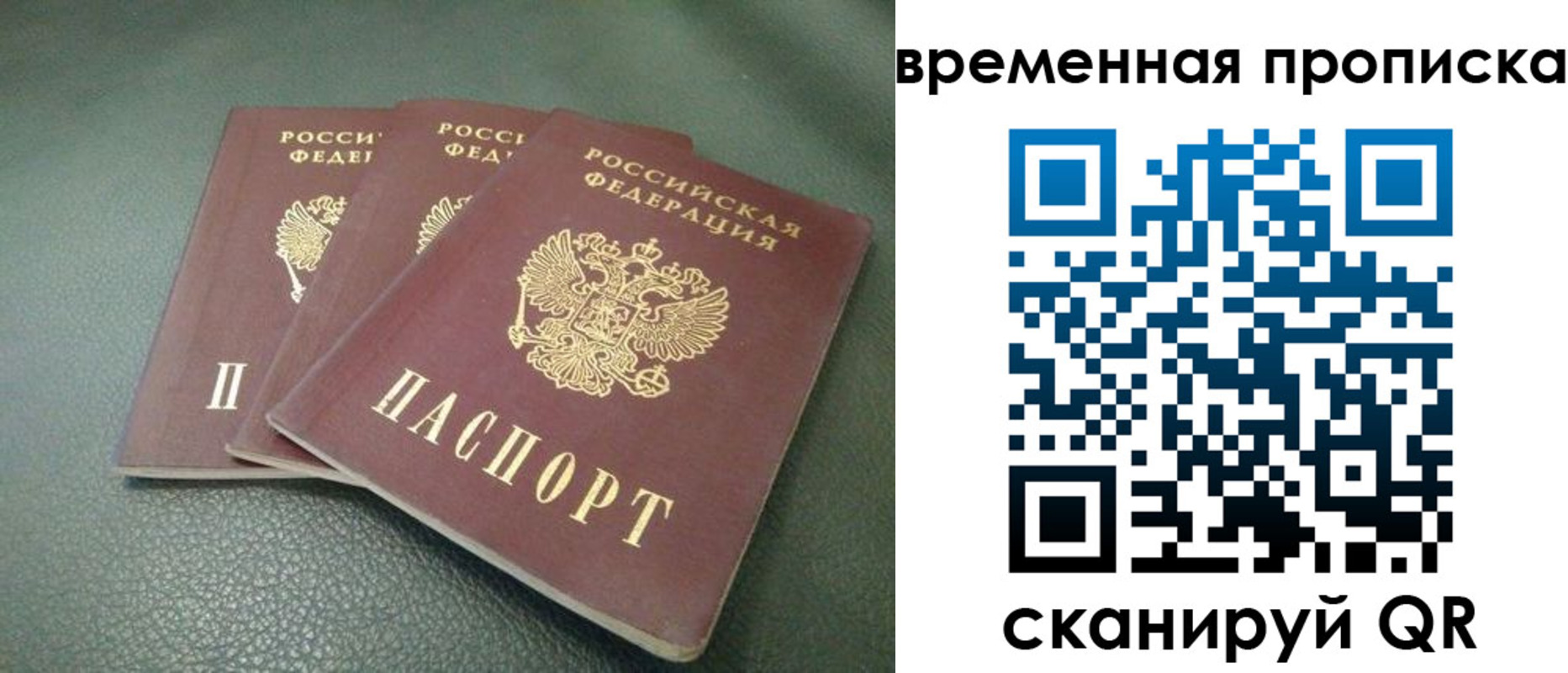 прописка гарантия в Владимирской области